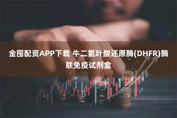 金囤配资APP下载 牛二氢叶酸还原酶(DHFR)酶联免疫试剂盒