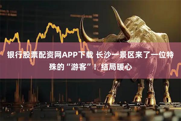 银行股票配资网APP下载 长沙一景区来了一位特殊的“游客”!结局暖心